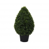 2 foot UV Protected Boxwood Cone Topiary: Potted