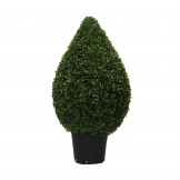 3 foot UV Protected Boxwood Cone Topiary: Potted