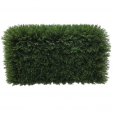 24L x 12W x 12H inch UV Protected Cedar Hedge