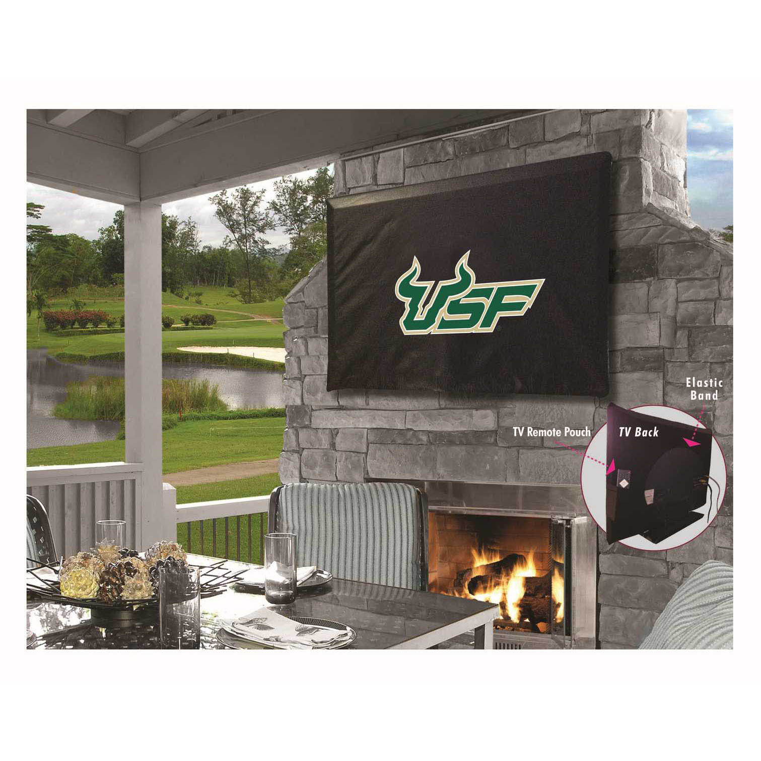 University of South Florida TV Cover