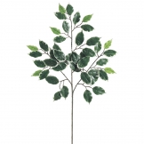23 inch Variegated Ficus Branch (Set of 12) - OVERSTOCK