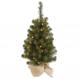 2.5 foot Felton Pine Tree in Burlap Base: Unlit