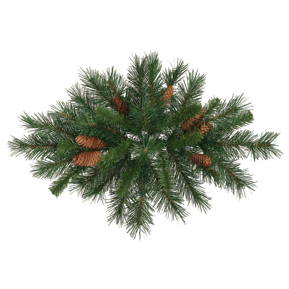 24 inch Cheyenne Pine Swag: Unlit