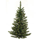 5 foot Unlit Camdon Fir Flat Back Wall Tree