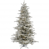 8.5 foot Flocked Sierra Fir Christmas Tree: Clear LEDs