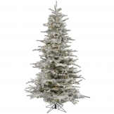 10 foot Flocked Sierra Fir Tree: Clear LEDs