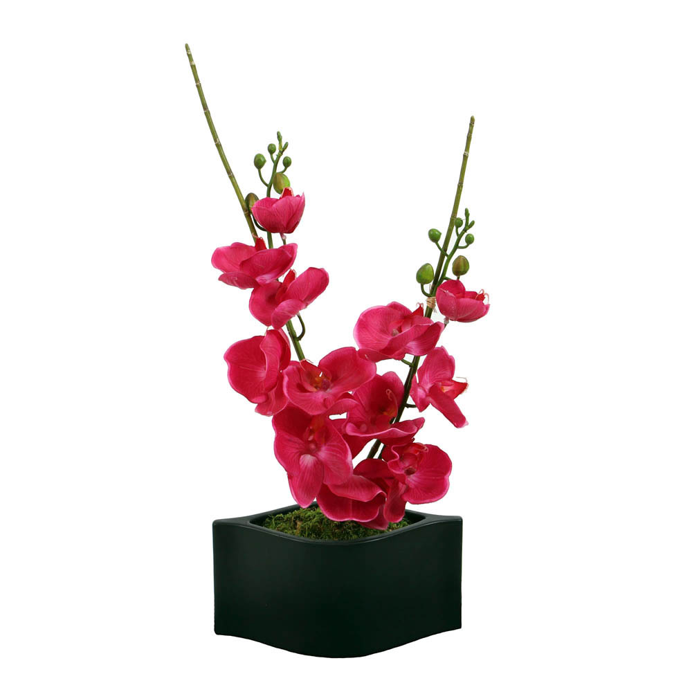 24 Inch Pink Orchid Held In A Black Wave Basket