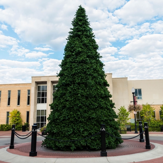 20 foot Indoor/Outdoor Grand Teton Tree: Unlit
