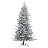 10 foot PE/PVC Frosted Eastern Frasier Fir Tree: Multi-Colored LEDs