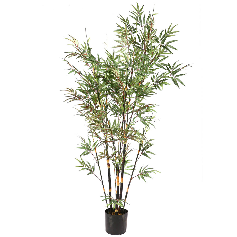 6 Foot Potted Black Bamboo Tree