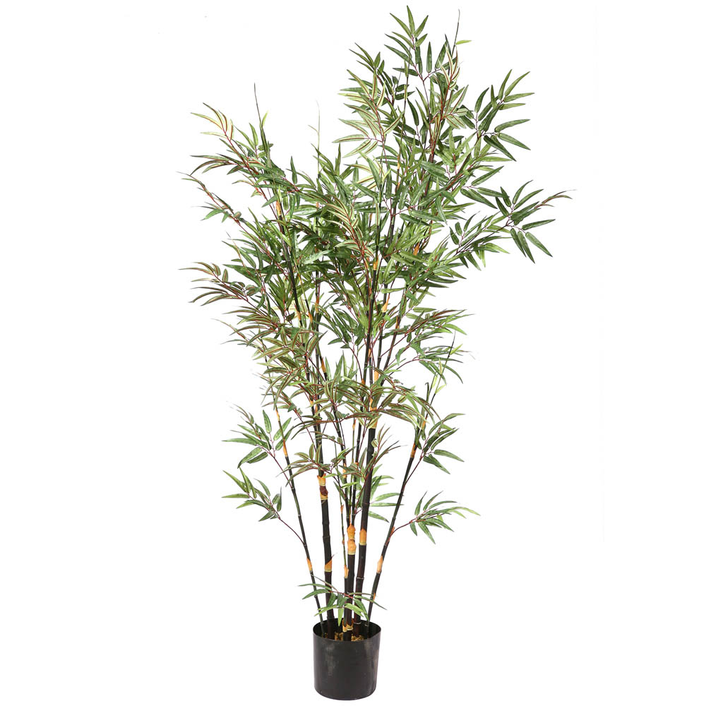 7 foot Potted Black Bamboo Tree