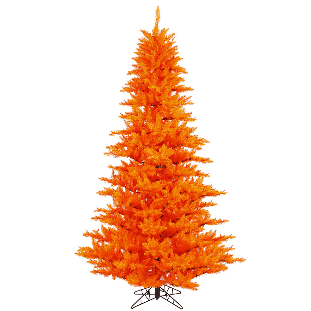 Orange Fir Tree