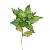 26 inch Lime Velvet Poinsettia Pick: Set of 3