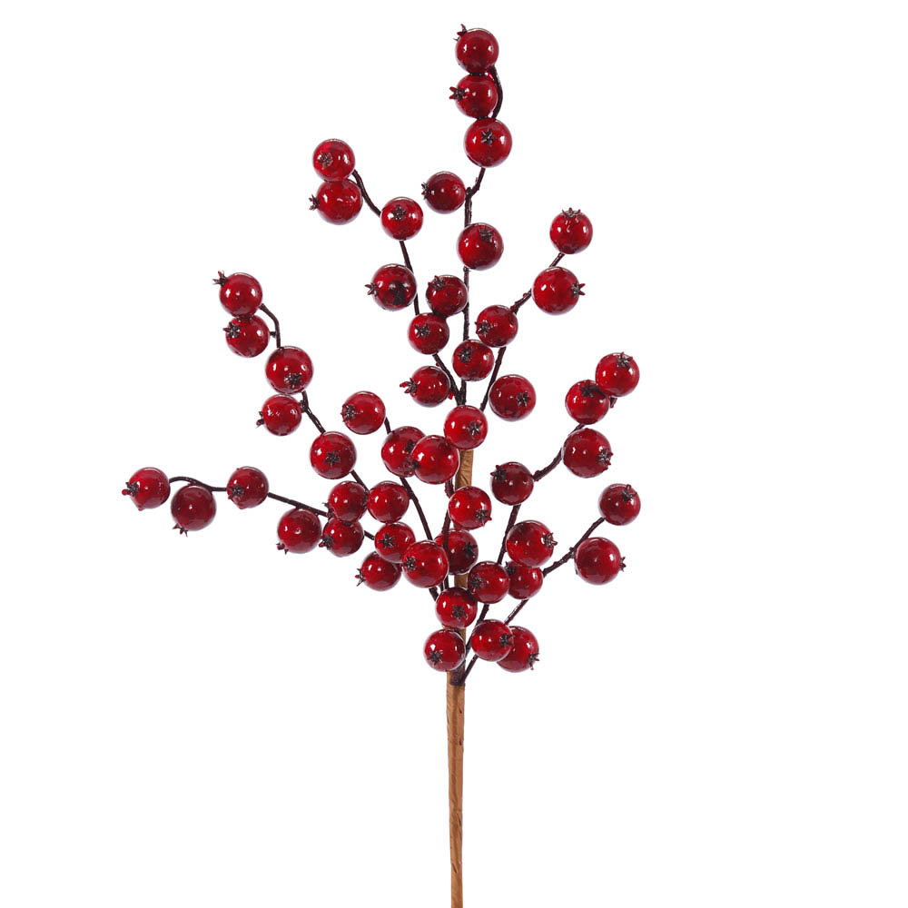 16 Inch Red Gooseberry Outdoor Pick