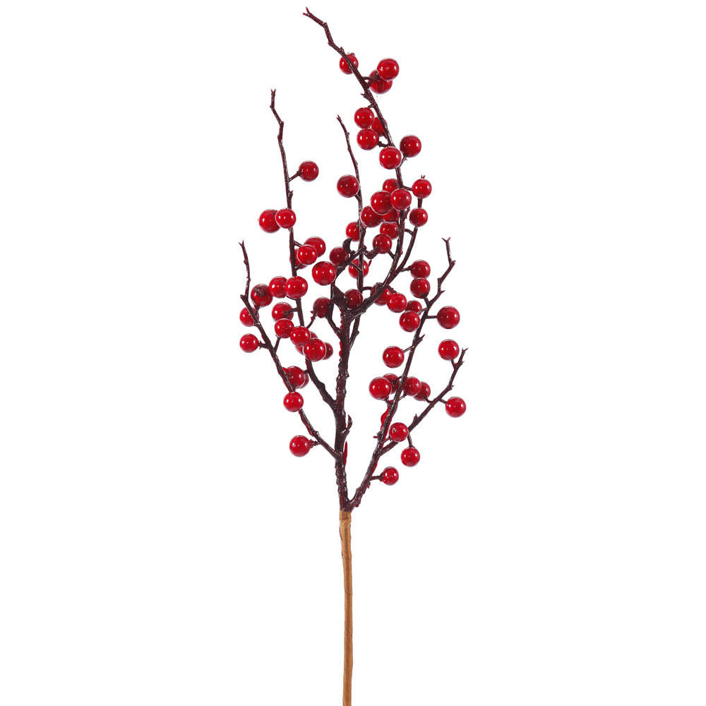 18 Inch Red Wild Outdoor Berry Pick