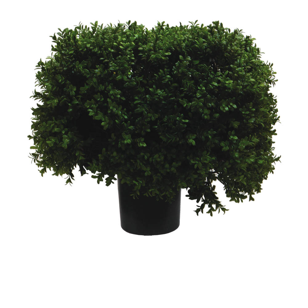 Outdoor Plant Sale (Page 1 of 7)