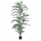 6 foot Areca Palm Deluxe Tree