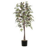 6 foot Frosted Maple Tree w/ Natural Hardwood Trunk