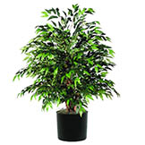 4 foot Smilax Bush with Natural Trunks