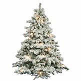6.5 foot Flocked Alaskan Christmas Tree: Clear Mini & G50 LEDs