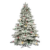 12 foot Flocked Alaskan Christmas Tree: Multi-Colored Mini & G50 LEDs