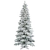 6.5 foot Slim Flocked Utica Fir Tree: Clear LEDs