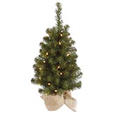 2.5 foot Felton Pine Tree in Burlap Base: Clear Lights