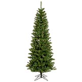 6.5 foot Salem Pencil Pine Tree: Multi-Color LEDs