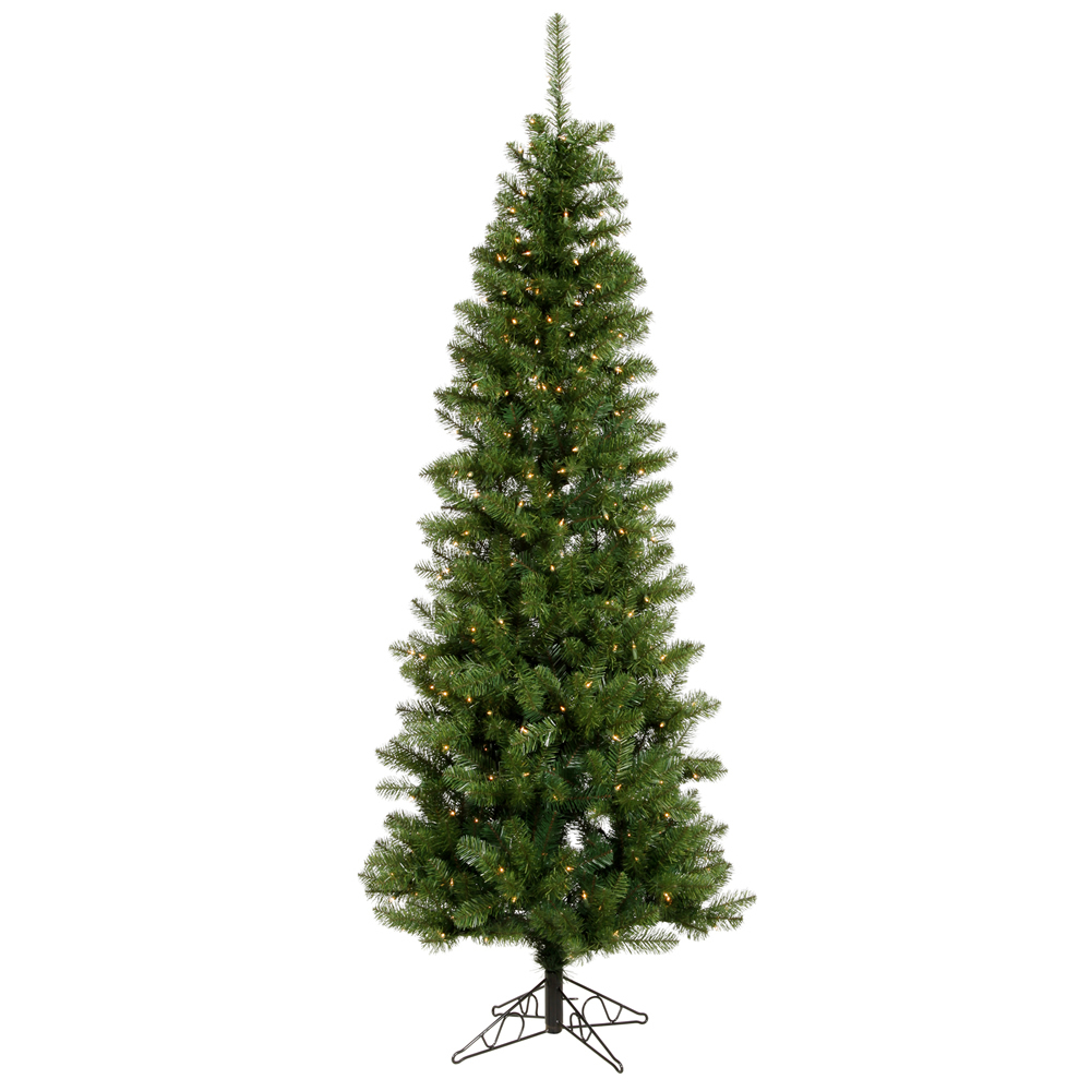 Salem Pencil Pine Tree