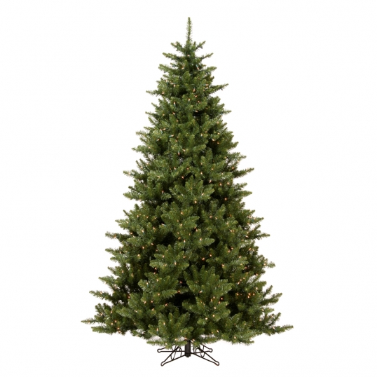 Camdon Fir Tree