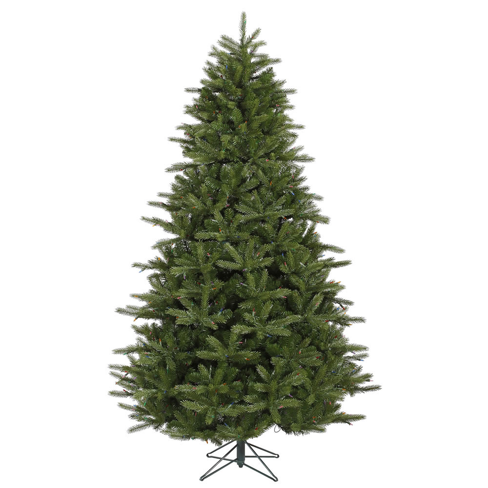 Majestic Frasier Fir Tree