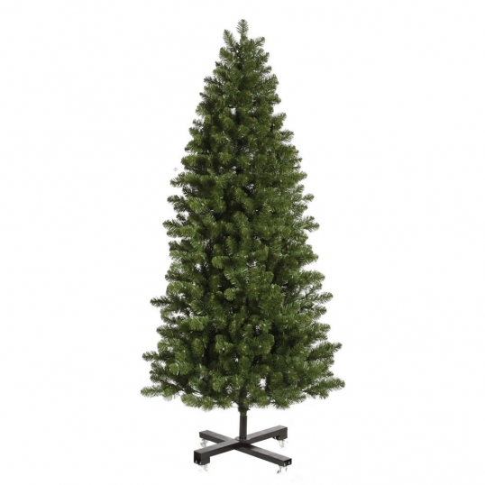 Slim Grand Teton Tree
