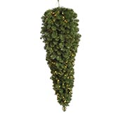 36 inch Grand Teton Teardrop: Lights