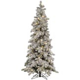 4 foot Medium Flocked Kodiak Spruce: Clear Mini & Frosted G40 LEDs