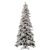 6 foot Medium Flocked Kodiak Spruce: Multi-Color Italian & G40 LEDs