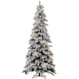 9 foot Medium Flocked Kodiak Spruce: Clear Italian & Frosted G40 LEDs