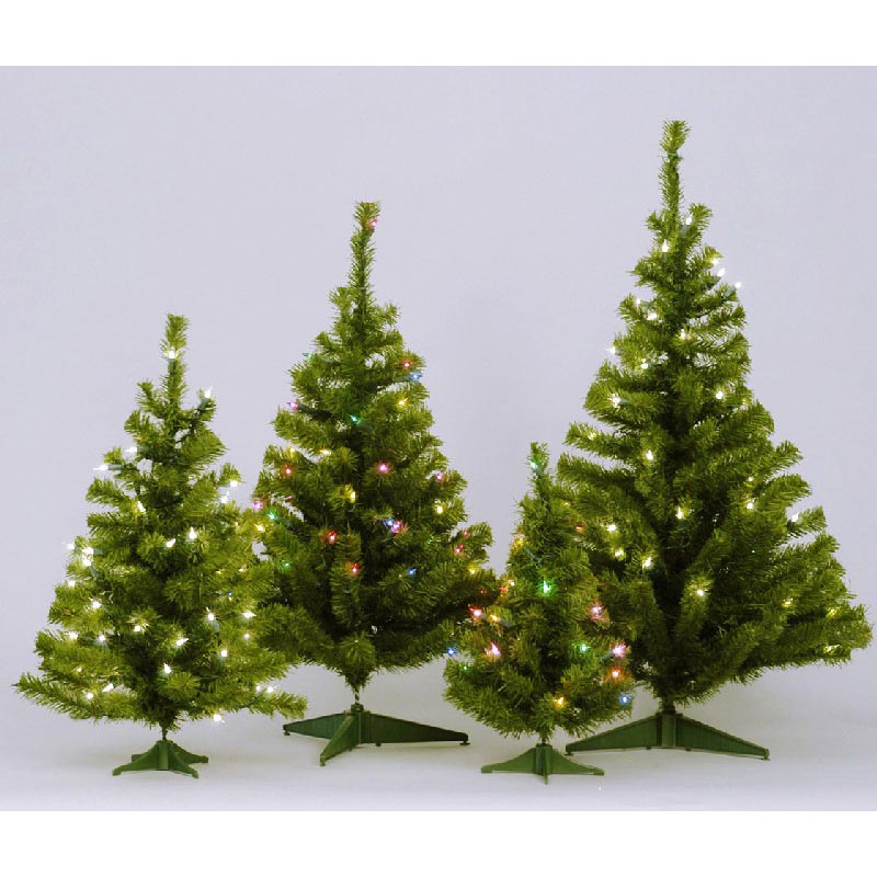 24 inch Canadian Pine Christmas Tree Mini Lights C802873