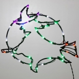18 x 14 inch LED Light Witch