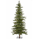 7 foot Shawnee Fir Tree: Clear LEDs