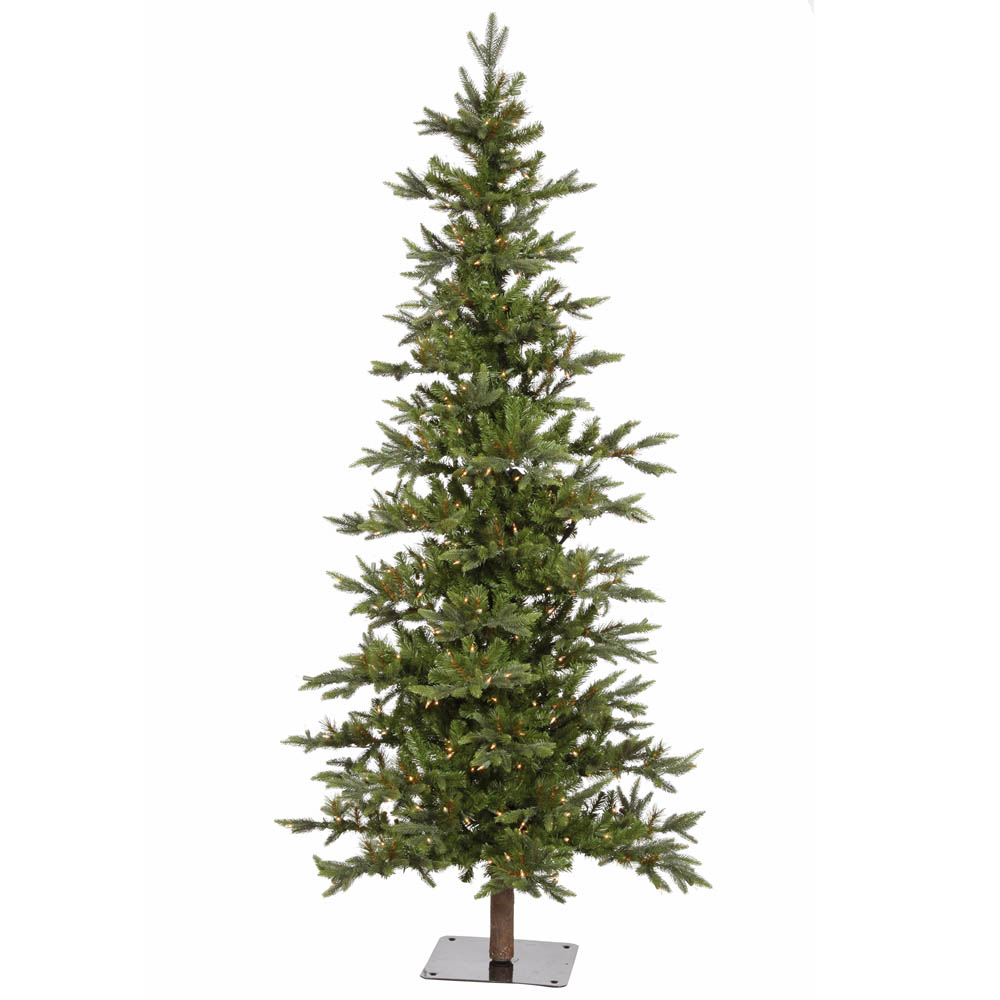Shawnee Fir Tree
