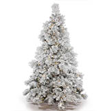 7.5 foot Alberta Flocked Tree: Clear LEDs