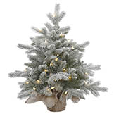 2 foot PE/PVC Frosted Sable Pine in Burlap Base: Clear Lights