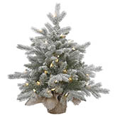 2 foot PE/PVC Frosted Sable Pine in Burlap Base: Clear LEDs