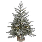 3 foot PE/PVC Frosted Sable Pine in Burlap Base: Clear LEDs
