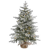 4 foot PE/PVC Frosted Sable Pine in Burlap Base: Clear LEDs