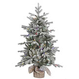 4 foot PE/PVC Frosted Sable Pine in Burlap Base: Multi-Colored LEDs