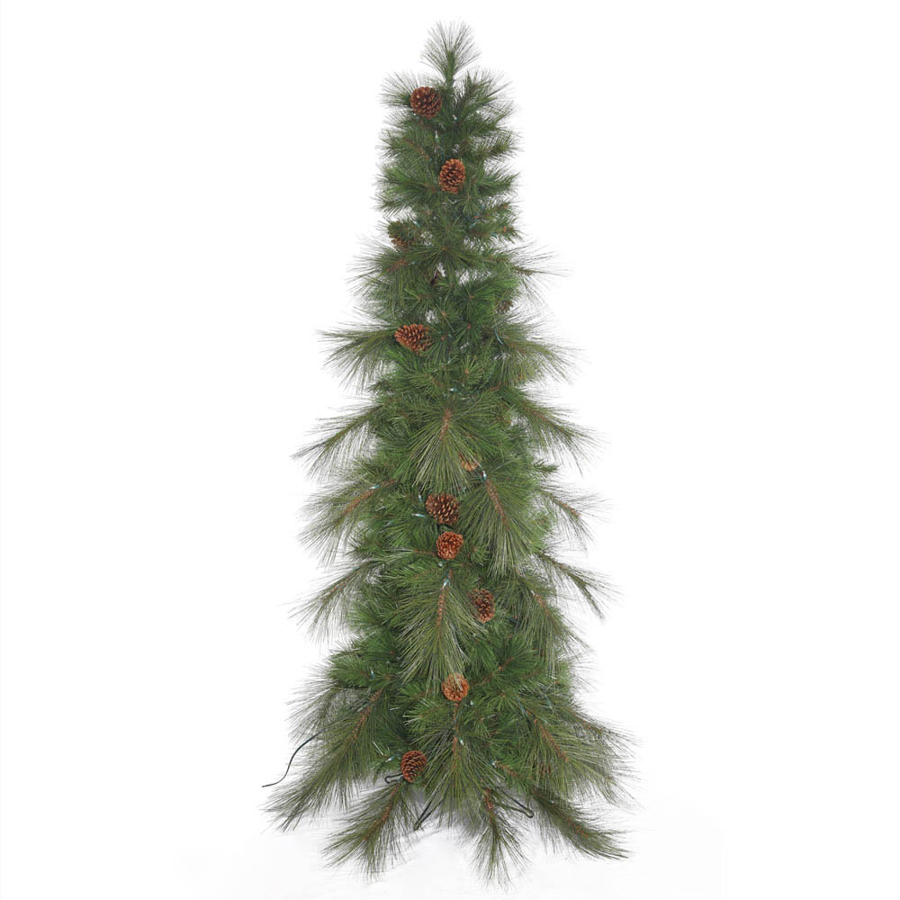 Big Cascade Pine Tree