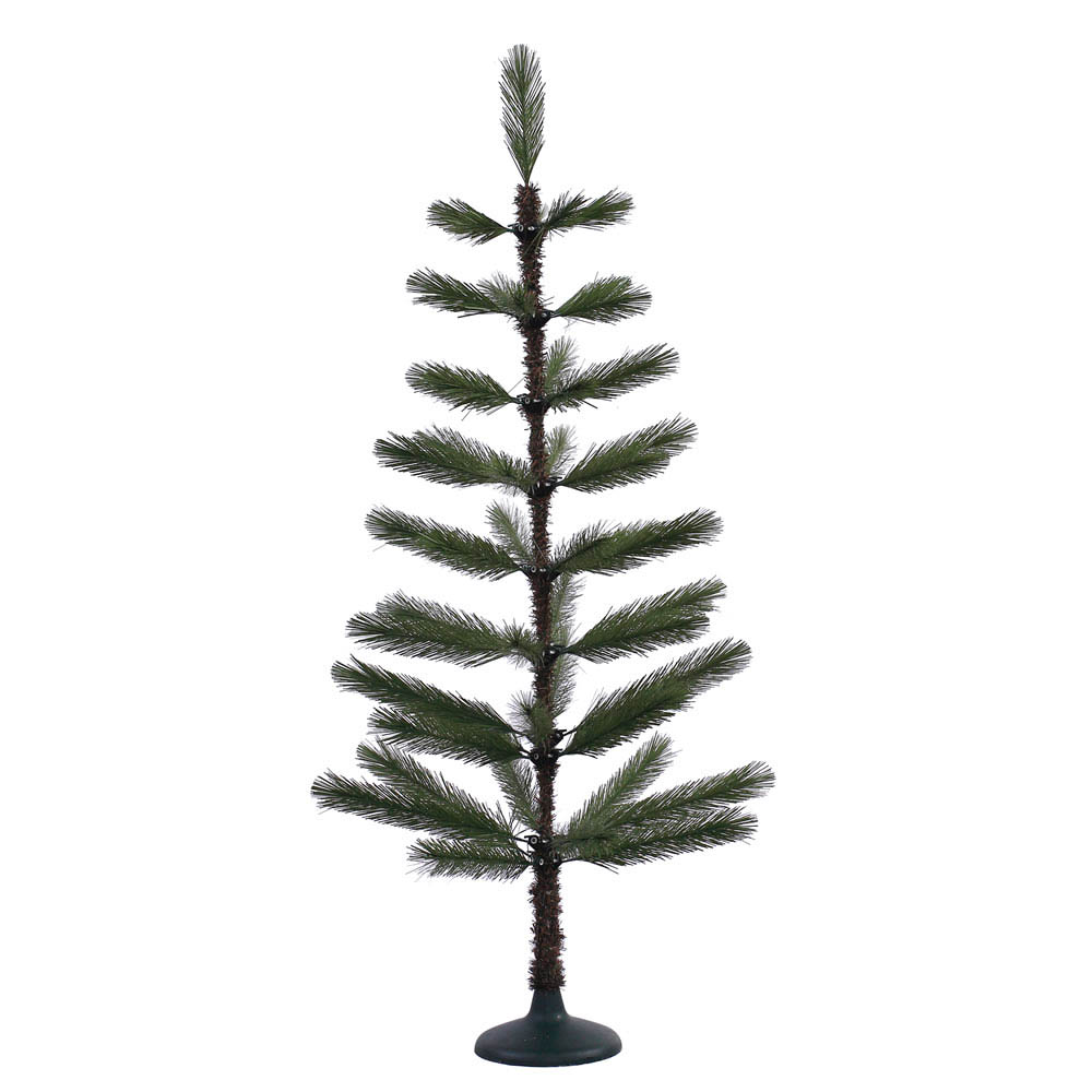 Feathery Long Needle Pine Tree