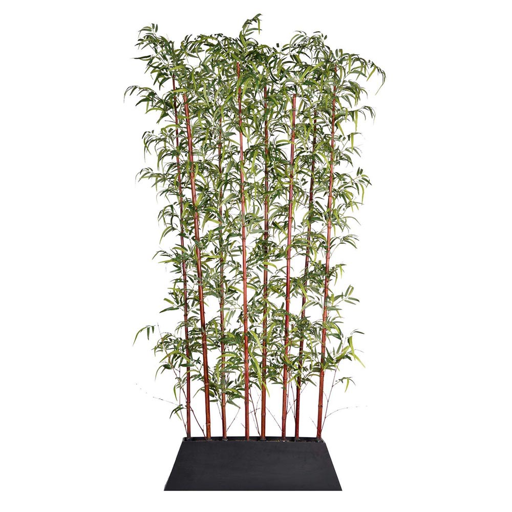 96 Inch Burgundy Bamboo Screen In Planter