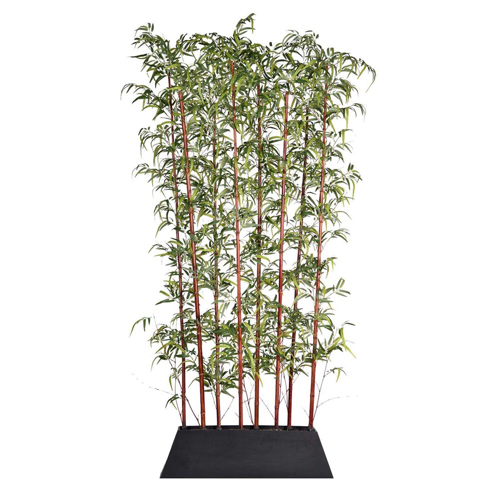 96 inch Burgundy Bamboo Screen in Planter